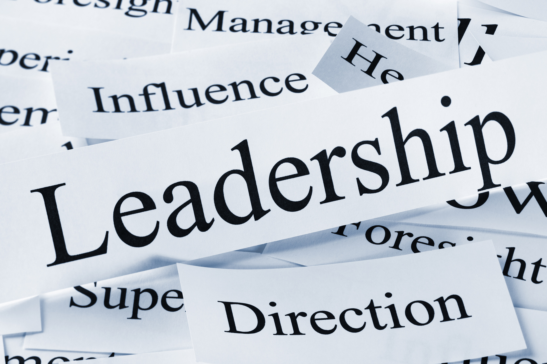 leadership skills